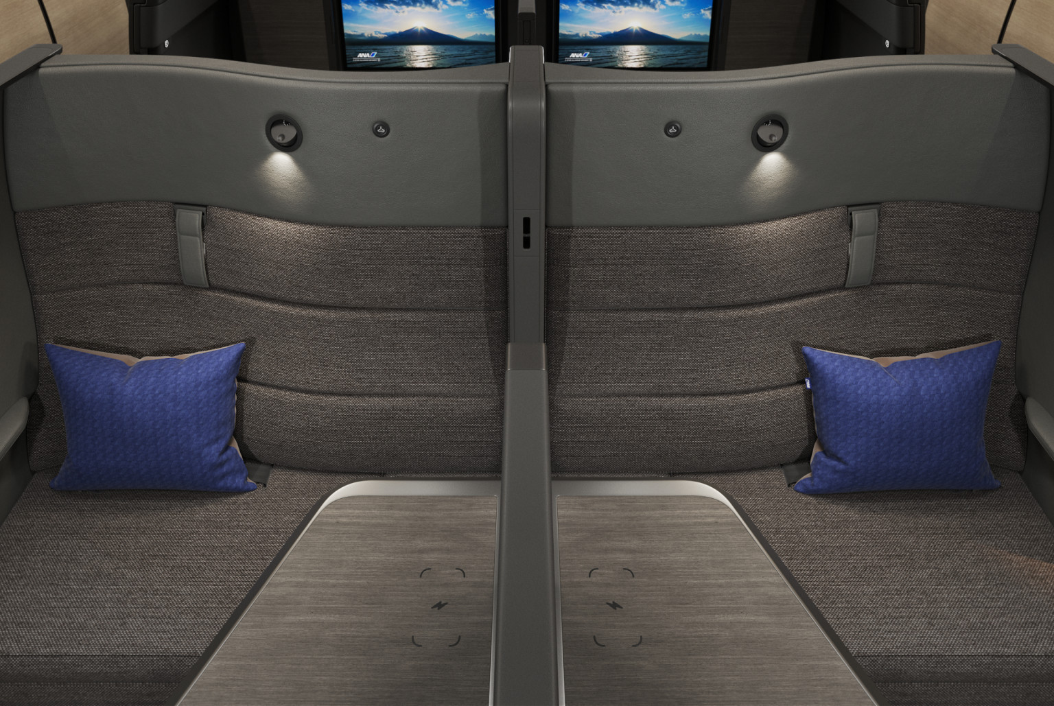 The cabin of the ANA The Room FX